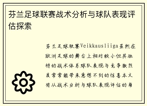 芬兰足球联赛战术分析与球队表现评估探索